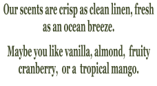 Our scents are crisp as clean linen, fresh as an ocean breeze.  Maybe you like vanilla, almond,  fruity cranberry,  or a  tropical mango.